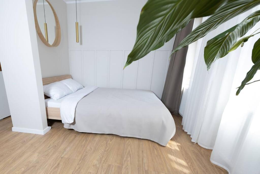 Design & Relax #Altstadt #Sauna Wittenberg المظهر الخارجي الصورة